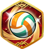 Official Levulin Beach Volleyball